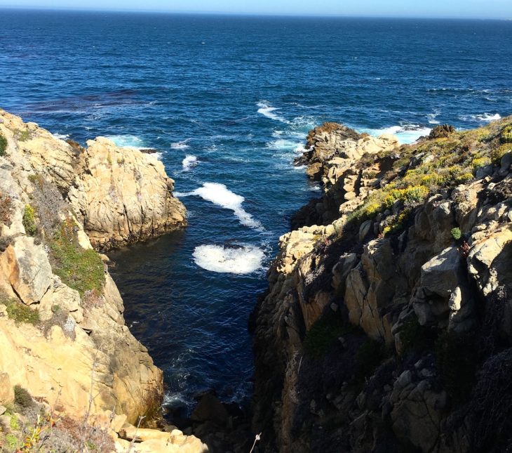 POINT LOBOS